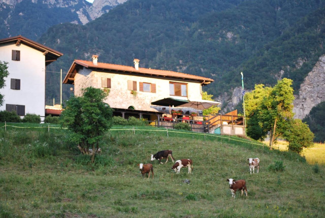 Rifugio Malga Grasia Caprizi Exterior foto