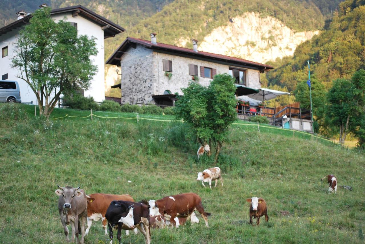 Rifugio Malga Grasia Caprizi Exterior foto