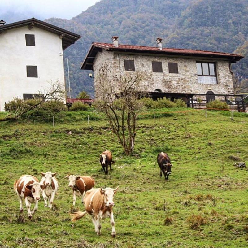 Rifugio Malga Grasia Caprizi Exterior foto